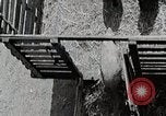 Image of farm life Michigan United States USA, 1941, second 54 stock footage video 65675025825