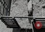 Image of farm life Michigan United States USA, 1941, second 55 stock footage video 65675025825