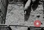 Image of farm life Michigan United States USA, 1941, second 56 stock footage video 65675025825