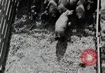 Image of farm life Michigan United States USA, 1941, second 57 stock footage video 65675025825