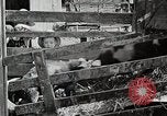 Image of farm life Michigan United States USA, 1941, second 59 stock footage video 65675025825