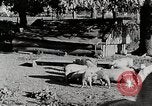 Immagine di Fattoria Michigan United States USA, 1941, secondo 7 filmato di repertorio 65675025826
