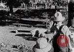 Immagine di Fattoria Michigan United States USA, 1941, secondo 11 filmato di repertorio 65675025826
