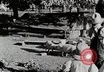 Immagine di Fattoria Michigan United States USA, 1941, secondo 12 filmato di repertorio 65675025826