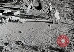 Immagine di Fattoria Michigan United States USA, 1941, secondo 13 filmato di repertorio 65675025826