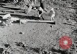 Immagine di Fattoria Michigan United States USA, 1941, secondo 14 filmato di repertorio 65675025826