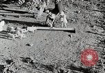 Immagine di Fattoria Michigan United States USA, 1941, secondo 15 filmato di repertorio 65675025826
