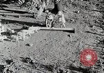 Immagine di Fattoria Michigan United States USA, 1941, secondo 16 filmato di repertorio 65675025826