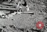Immagine di Fattoria Michigan United States USA, 1941, secondo 17 filmato di repertorio 65675025826