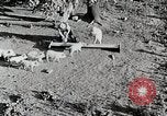Immagine di Fattoria Michigan United States USA, 1941, secondo 18 filmato di repertorio 65675025826