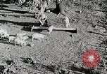 Immagine di Fattoria Michigan United States USA, 1941, secondo 19 filmato di repertorio 65675025826