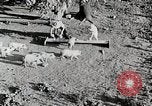 Immagine di Fattoria Michigan United States USA, 1941, secondo 20 filmato di repertorio 65675025826