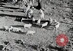 Immagine di Fattoria Michigan United States USA, 1941, secondo 23 filmato di repertorio 65675025826
