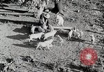 Immagine di Fattoria Michigan United States USA, 1941, secondo 26 filmato di repertorio 65675025826