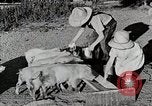 Immagine di Fattoria Michigan United States USA, 1941, secondo 33 filmato di repertorio 65675025826
