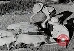 Immagine di Fattoria Michigan United States USA, 1941, secondo 35 filmato di repertorio 65675025826