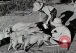 Immagine di Fattoria Michigan United States USA, 1941, secondo 36 filmato di repertorio 65675025826
