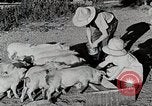 Immagine di Fattoria Michigan United States USA, 1941, secondo 37 filmato di repertorio 65675025826