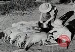 Immagine di Fattoria Michigan United States USA, 1941, secondo 38 filmato di repertorio 65675025826