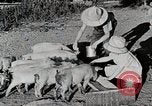 Immagine di Fattoria Michigan United States USA, 1941, secondo 40 filmato di repertorio 65675025826