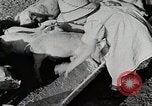 Immagine di Fattoria Michigan United States USA, 1941, secondo 43 filmato di repertorio 65675025826