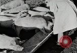 Immagine di Fattoria Michigan United States USA, 1941, secondo 44 filmato di repertorio 65675025826