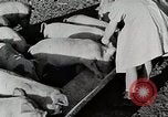 Immagine di Fattoria Michigan United States USA, 1941, secondo 45 filmato di repertorio 65675025826