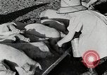 Immagine di Fattoria Michigan United States USA, 1941, secondo 48 filmato di repertorio 65675025826