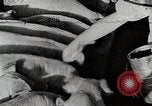 Immagine di Fattoria Michigan United States USA, 1941, secondo 51 filmato di repertorio 65675025826