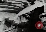 Immagine di Fattoria Michigan United States USA, 1941, secondo 52 filmato di repertorio 65675025826