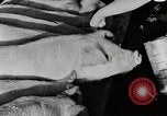 Immagine di Fattoria Michigan United States USA, 1941, secondo 53 filmato di repertorio 65675025826