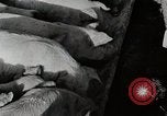 Immagine di Fattoria Michigan United States USA, 1941, secondo 55 filmato di repertorio 65675025826