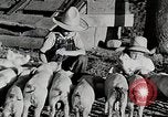 Immagine di Fattoria Michigan United States USA, 1941, secondo 56 filmato di repertorio 65675025826