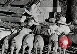 Immagine di Fattoria Michigan United States USA, 1941, secondo 57 filmato di repertorio 65675025826