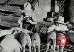 Immagine di Fattoria Michigan United States USA, 1941, secondo 58 filmato di repertorio 65675025826