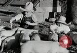 Immagine di Fattoria Michigan United States USA, 1941, secondo 59 filmato di repertorio 65675025826
