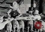 Immagine di Fattoria Michigan United States USA, 1941, secondo 60 filmato di repertorio 65675025826