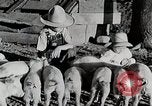 Immagine di Fattoria Michigan United States USA, 1941, secondo 61 filmato di repertorio 65675025826