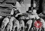 Immagine di Fattoria Michigan United States USA, 1941, secondo 62 filmato di repertorio 65675025826