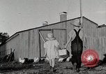 Standbild Farm Life Michigan United States USA, 1941, aus Sekunde 15 historischem Filmmaterial Videoclip 65675025827