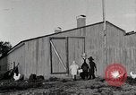 Standbild Farm Life Michigan United States USA, 1941, aus Sekunde 25 historischem Filmmaterial Videoclip 65675025827