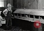 Standbild Farm Life Michigan United States USA, 1941, aus Sekunde 32 historischem Filmmaterial Videoclip 65675025827