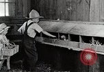 Standbild Farm Life Michigan United States USA, 1941, aus Sekunde 33 historischem Filmmaterial Videoclip 65675025827