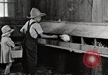 Standbild Farm Life Michigan United States USA, 1941, aus Sekunde 36 historischem Filmmaterial Videoclip 65675025827