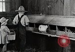 Standbild Farm Life Michigan United States USA, 1941, aus Sekunde 37 historischem Filmmaterial Videoclip 65675025827