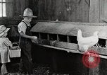 Standbild Farm Life Michigan United States USA, 1941, aus Sekunde 43 historischem Filmmaterial Videoclip 65675025827