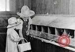 Standbild Farm Life Michigan United States USA, 1941, aus Sekunde 60 historischem Filmmaterial Videoclip 65675025827
