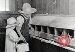 Standbild Farm Life Michigan United States USA, 1941, aus Sekunde 61 historischem Filmmaterial Videoclip 65675025827