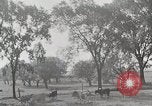 Standbild Farm Life Michigan United States USA, 1941, aus Sekunde 8 historischem Filmmaterial Videoclip 65675025828