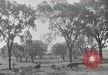 Standbild Farm Life Michigan United States USA, 1941, aus Sekunde 10 historischem Filmmaterial Videoclip 65675025828